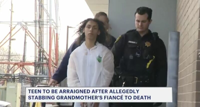 Teen threw boiling oil on his grandma's fiance while he was sleeping on the couch before stabbing him to death: Police