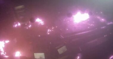 Teenager arrested over fire bitten by police dog in Melbourne