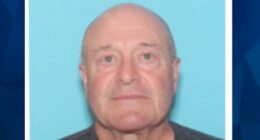 Teens Spot 60-Year-Old MA Man in Pond, Body Parts Severed with ‘Sharp Force Instrument’