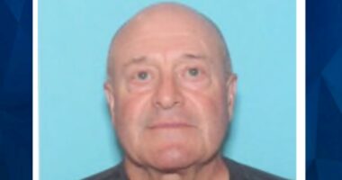 Teens Spot 60-Year-Old MA Man in Pond, Body Parts Severed with ‘Sharp Force Instrument’