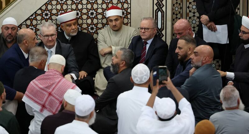 Tense moment Anthony Albanese is heckled at Sydney mosque