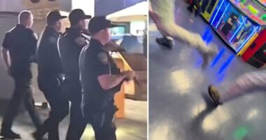 Terrifying moment bullets fly on Santa Monica Pier during mass brawl, two shot