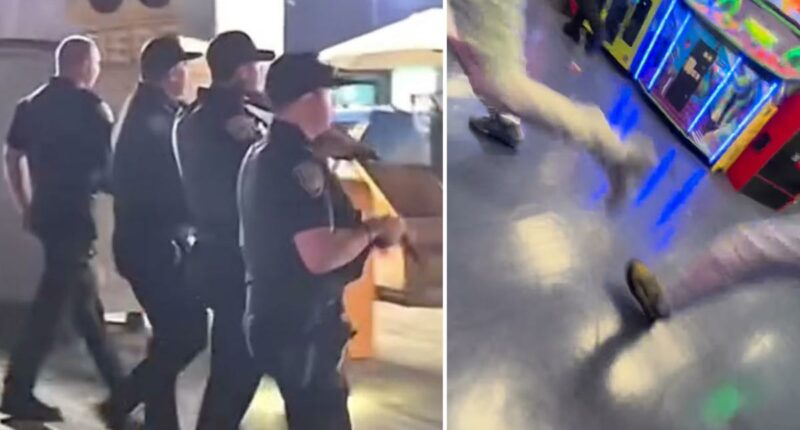 Terrifying moment bullets fly on Santa Monica Pier during mass brawl, two shot