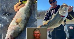 Texas fishing tournament winner arrested over cheating scandal