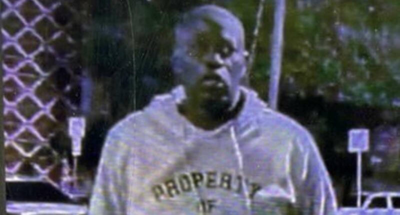 Texas mass shooting suspect wore 'Iranian flag' in attack