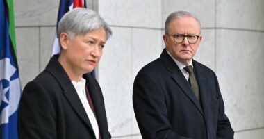 The Iran war will have lasting consequences for Aussies: PVO