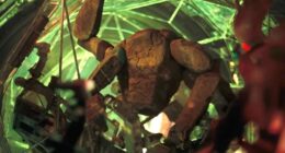 The Only Rocky Explainer You Need For Ryan Gosling's Project Hail Mary