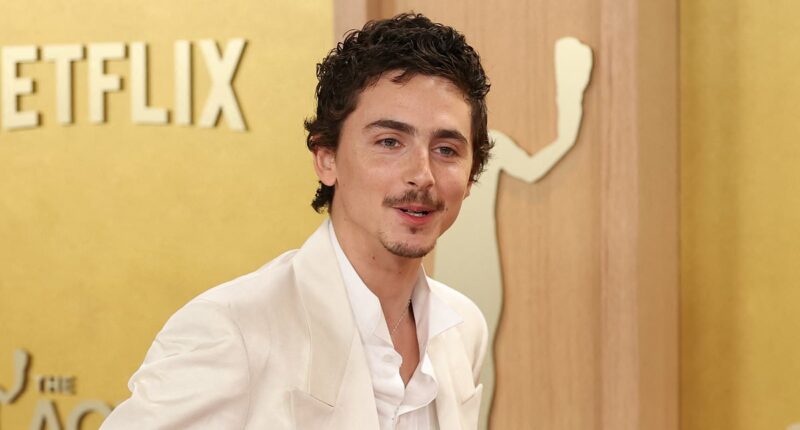 The View's Whoopi Goldberg blasts 'disrespectful' Timothée Chalamet amid fury over 'no one cares about' opera and ballet comments