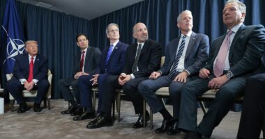 The 'hottest most exclusive' status symbol Trump allies are drooling over to gain clout with the President