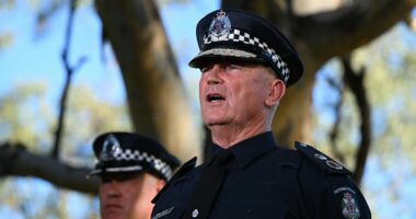 The questions cops MUST answer over Dezi Freeman's months on the run