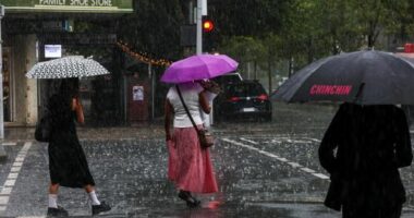The wet weather work from home rule most Aussies are firmly behind