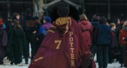 There is no ethical consumption of HBO’s Harry Potter series