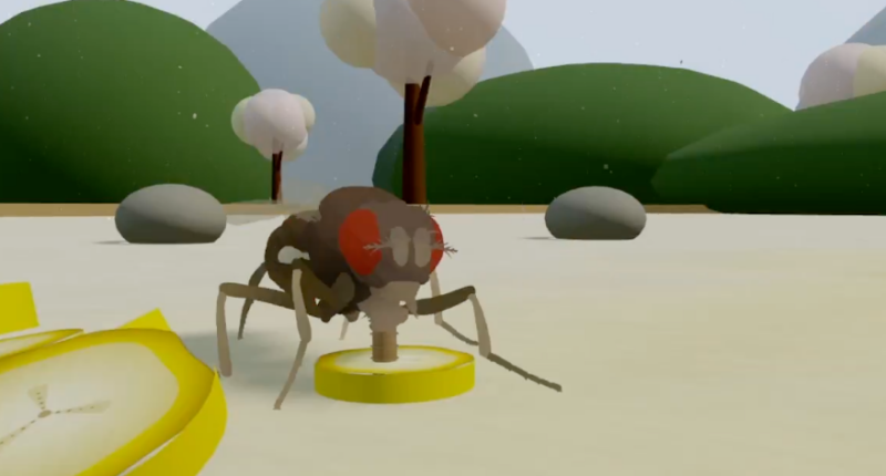 This is not a fly uploaded to a computer