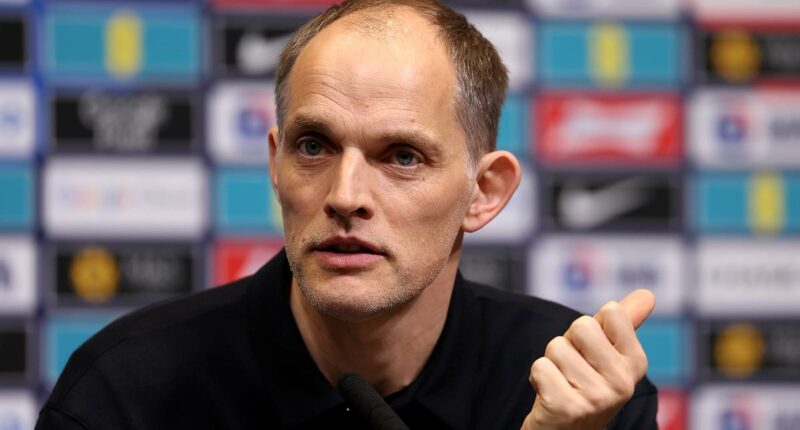 Thomas Tuchel's Phil Foden dilemma, the player he 'just loves too much' and how all could hinge on Reece James: Daily Mail Sport experts predict the England World Cup squad Three Lions boss WILL take to the United States