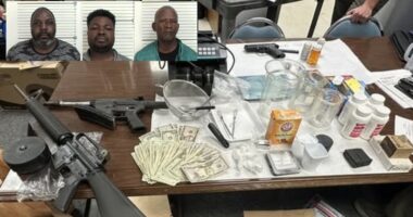 Three arrested after drug manufacturing investigation scheme in Southeast Georgia, police say