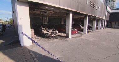 petrol has been used to torch three electric cars in Parramatta in a suspected arson attack