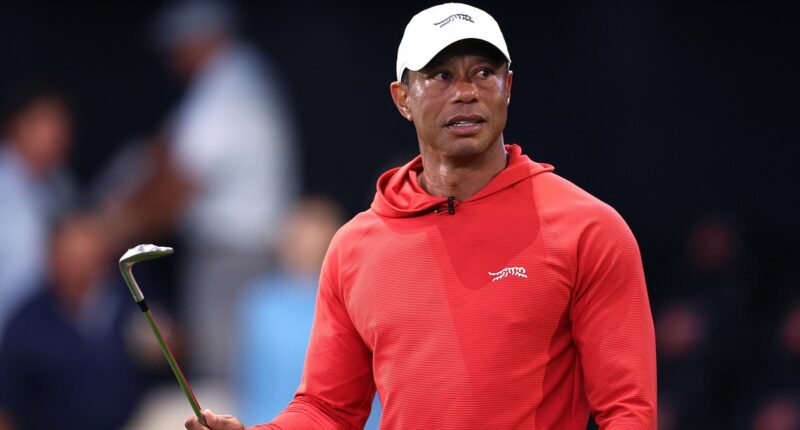 Tiger Woods' bleary-eyed mugshot released after crash and DUI arrest