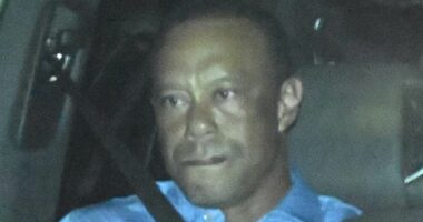 Tiger Woods had pills in his pocket when he was arrested, cops claim... as golf legend reveals what led to him rolling his SUV in high-speed crash