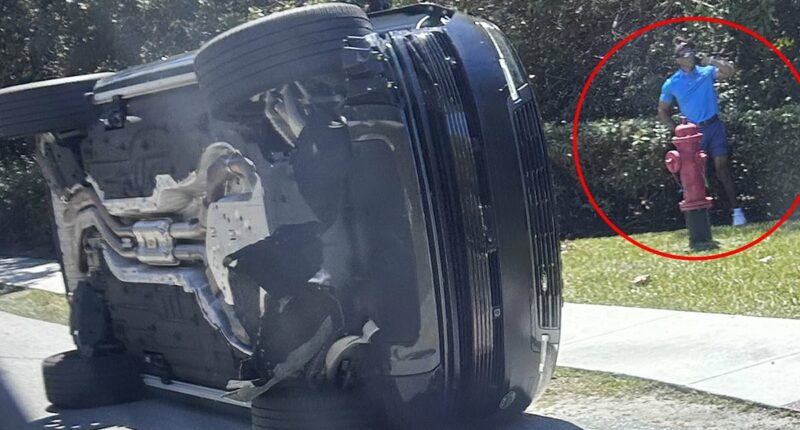 Tiger Woods insider leaks harrowing truth about golf legend's crash... and the REAL reason he refused cops a urine sample