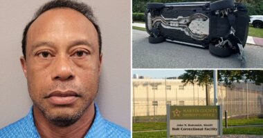 Tiger Woods mugshot revealed after crash, DUI arrest