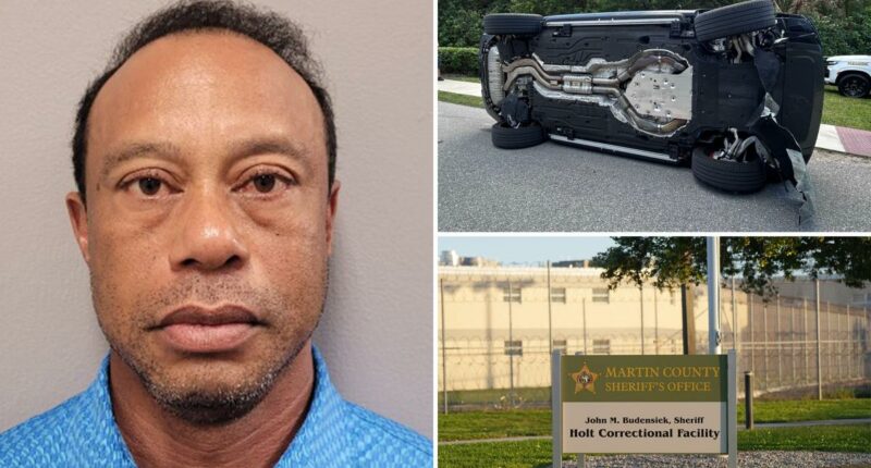 Tiger Woods mugshot revealed after crash, DUI arrest
