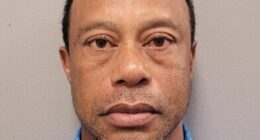 Tiger Woods should NEVER play golf again, top analyst claims after latest car crash and DUI arrest: 'Keeps hurting himself'