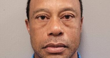 Tiger Woods should NEVER play golf again, top analyst claims after latest car crash and DUI arrest: 'Keeps hurting himself'