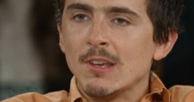 Timothée  Chalamet says 'no one cares' about ballet or opera