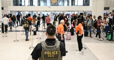 Tom Homan reveals the full scope of ICE's role in airports