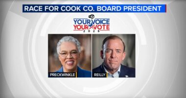 Toni Preckwinkle vs Brendan Reilly: Cook County Board president, ald. make final appeals to voters before Illinois Election Day