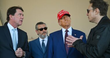 Top Republican calls for ICE split from DHS bill to end airport chaos