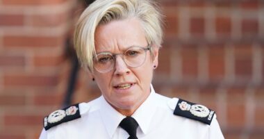 Top cop who admitted 'mistakes' in Nottingham inquiry gets new job