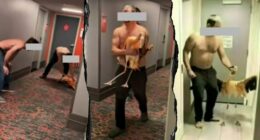 Tourist's bird-brained Vegas stunt with flamingo lands him behind bars on felony charges