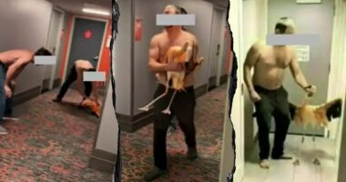 Tourist's bird-brained Vegas stunt with flamingo lands him behind bars on felony charges