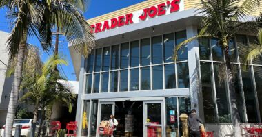 Trader Joe's expands recall to 10 million more pounds of frozen foods