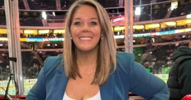 Tragedy as NHL reporter, 37, and three children die in in house fire