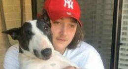 Aidan Becker, 22, was allegedly stabbed to death after intervening to help a 14-year-old who was being robbed by four teenagers.