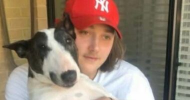 Aidan Becker, 22, was allegedly stabbed to death after intervening to help a 14-year-old who was being robbed by four teenagers.