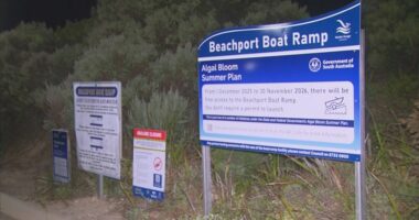 Beachport fishermen found dead