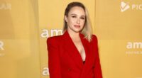 Troubled star Hayden Panettiere stuns fans with dramatic hair makeover