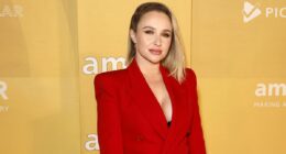 Troubled star Hayden Panettiere stuns fans with dramatic hair makeover