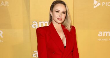 Troubled star Hayden Panettiere stuns fans with dramatic hair makeover