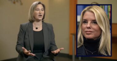 Trump DOJ complains judge 'wrongly' held JAG lawyer's career 'captive' after contempt successfully moved ICE to obey her order in a day