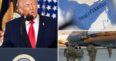 Trump admin considering deploying troops to Iranian shores along Strait of Hormuz, Kharg Island: Report