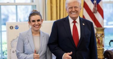 Trump administration reveals latest plans in White House renovations