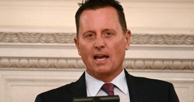 Trump ally Ric Grenell is stepping down as Kennedy Center president