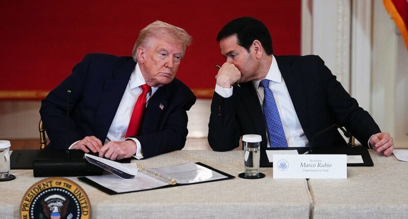 Trump backs Cabinet heavyweight's Cuba plot: Read his blueprint for destruction... as secret communist army lurks on America's doorstep