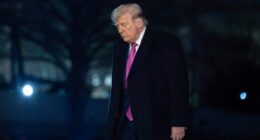 Trump blasts allies for not helping his war effort