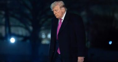 Trump blasts allies for not helping his war effort