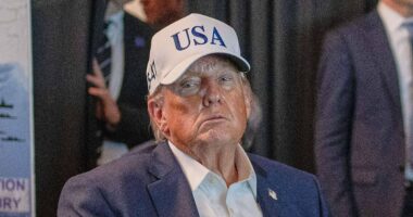 Trump breaks silence on US troops killed  to the Daily Mail